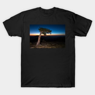 Elf Wood Sunrise T-Shirt